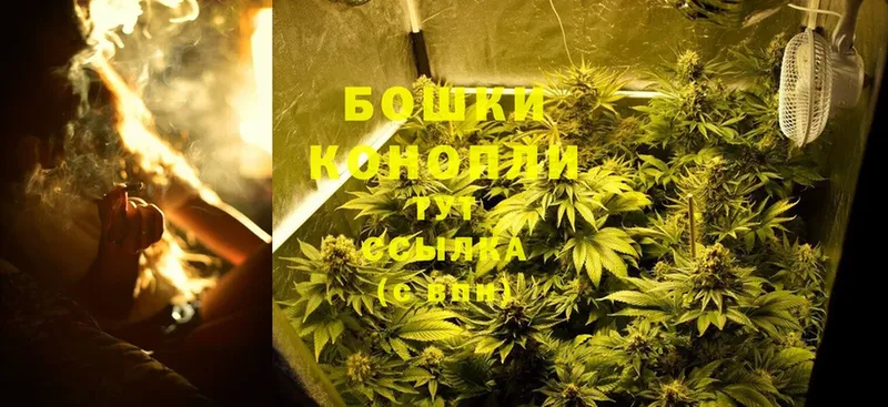 Конопля THC 21%  Омск 